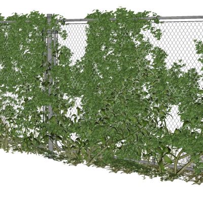 藤蔓植物铁网