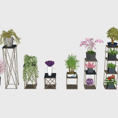 室内植物绿植盆栽花盆花架