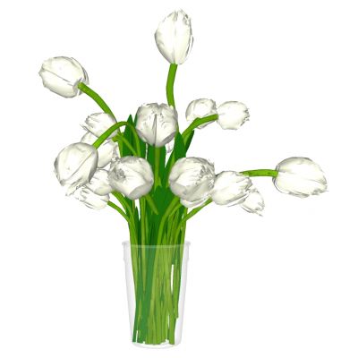 现代玻璃花瓶插花花艺摆件郁金香