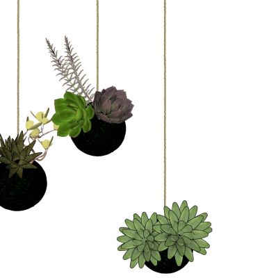 吊挂植物吊篮花艺