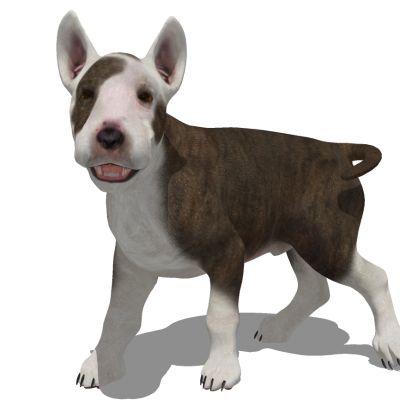 动物宠物狗3D模型