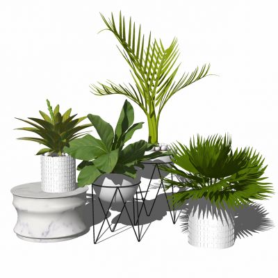 现代植物盆栽花盆花架