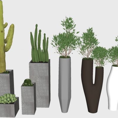 室内植物绿植盆栽花盆仙人掌