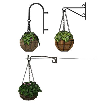 吊挂植物吊篮花艺