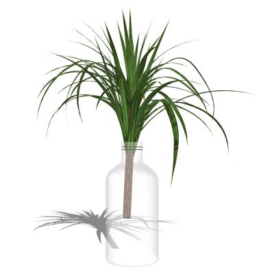 现代玻璃花瓶插花花艺摆件