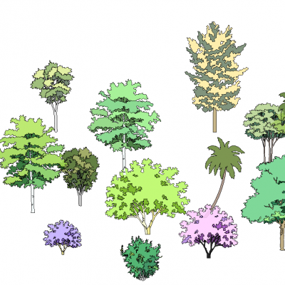 手绘抽象风格景观植物树