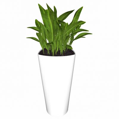 现代植物盆栽花盆