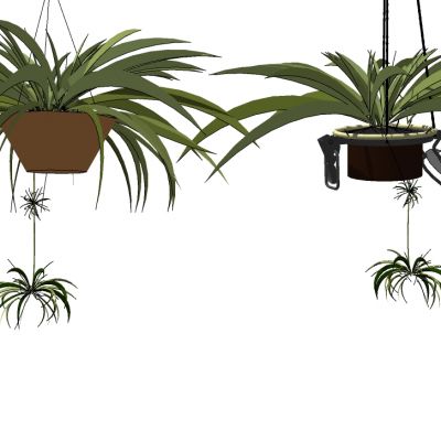 吊挂植物吊篮花艺