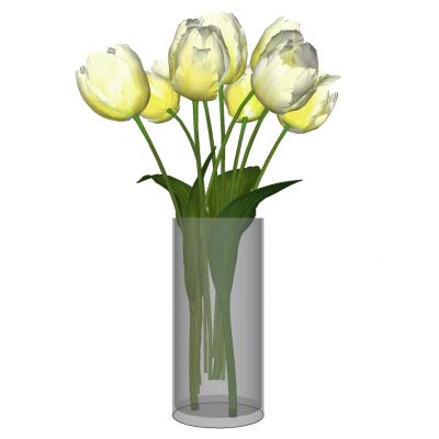 现代玻璃花瓶插花花艺摆件郁金香