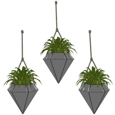 吊挂植物吊篮花艺