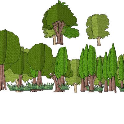 景观手绘风格植物树