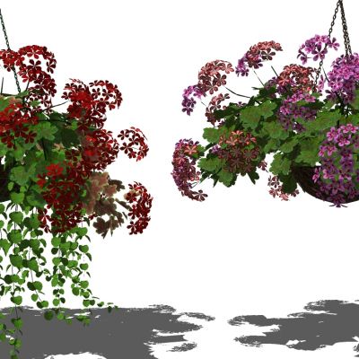 吊挂植物吊篮花艺