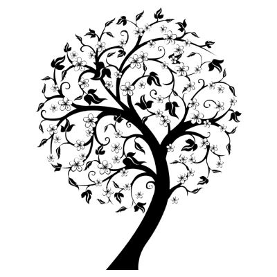 室外园林景观树黑梅树