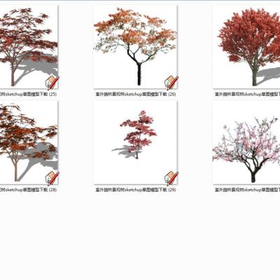 室外园林景观树