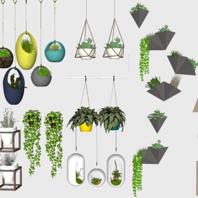 室内植物绿植盆栽花盆吊篮