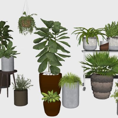 室内植物绿植盆栽花盆吊篮