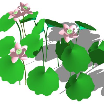 荷花睡莲荷叶SU模型