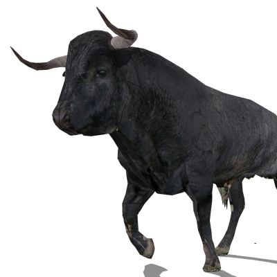 动物牛