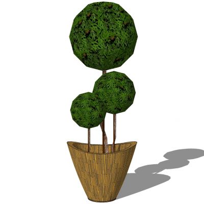 室外园林景观盆景盆栽盆栽