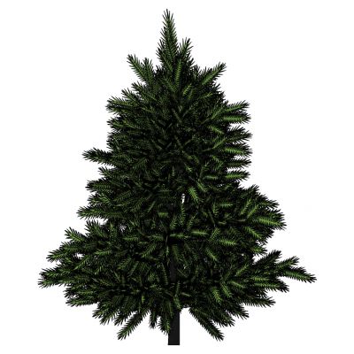 室外园林景观植物景观树