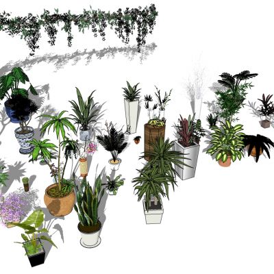 藤蔓绿植盆栽花盆