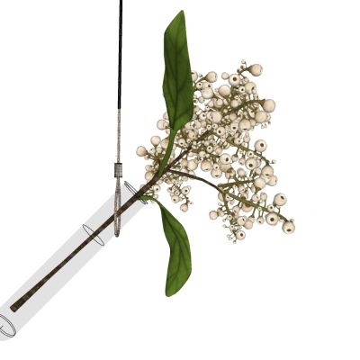 现代玻璃花瓶插花花艺摆件花苞