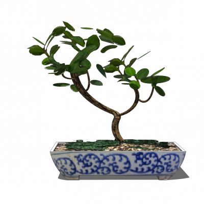 现代植物盆景花盆花槽