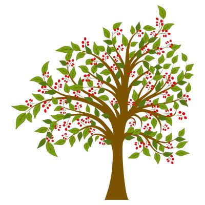 室外园林景观树果子树