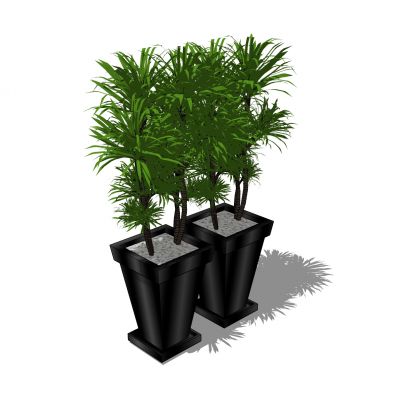 现代植物盆栽花盆花槽