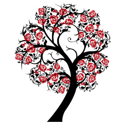 室外园林景观树黑玫瑰