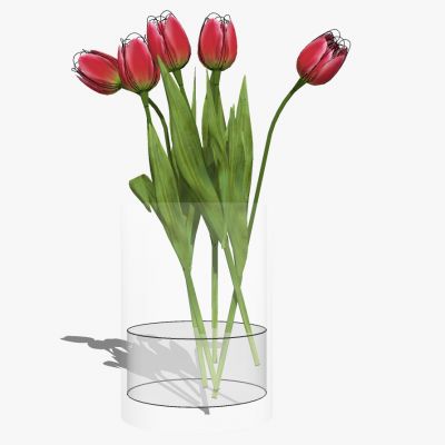 现代玻璃花瓶插花花艺水仙花摆件饰品