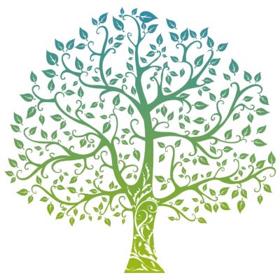 室外园林景观树花纹树