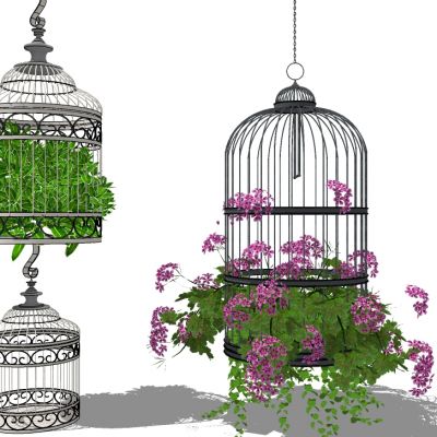 吊挂植物吊篮花艺