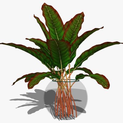 现代玻璃花瓶插花花艺职务摆件饰品