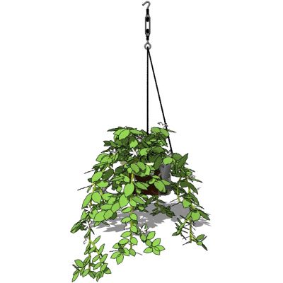 吊挂植物吊篮花艺