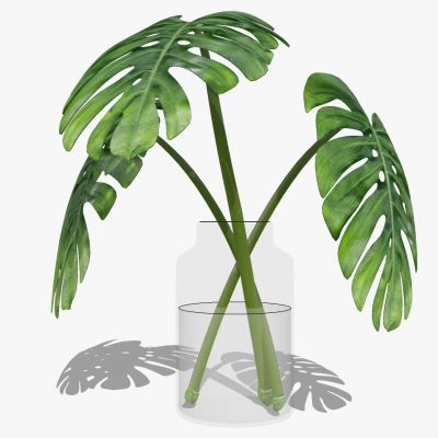 现代玻璃花瓶插花花艺职务摆件饰品芭蕉叶