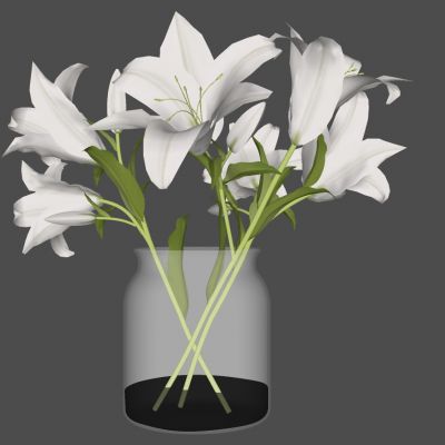 花瓶植物盆栽玻璃花瓶