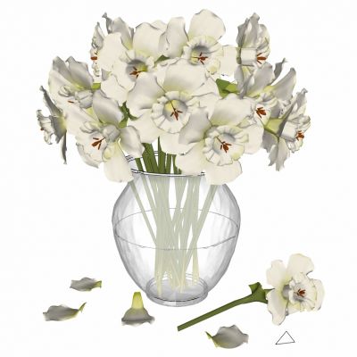 现代花艺花瓶插花陈设摆饰摆件白色兰花