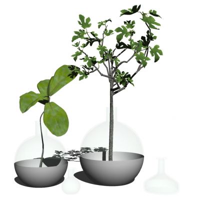 现代玻璃花瓶插花花艺摆件