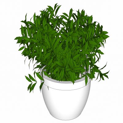 现代植物盆栽花盆