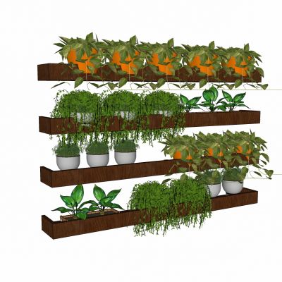 现代植物盆栽吊兰花盆花架