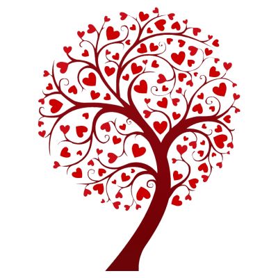 室外园林景观树红心树