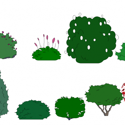 景观手绘风格植物树