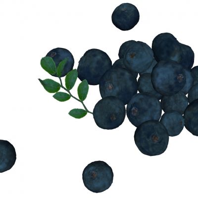 水果蓝莓