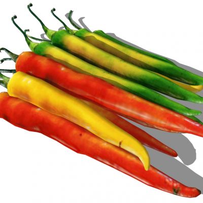 蔬菜辣椒