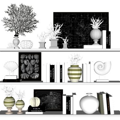 隔板书架层板摆件书籍书本珊瑚雕塑摆件