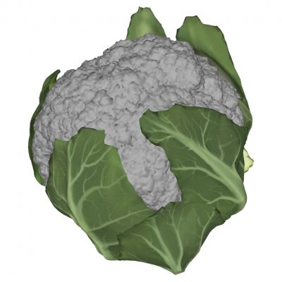 蔬菜菜花花椰菜