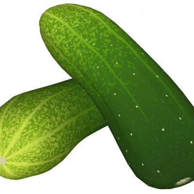 蔬菜黄瓜