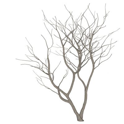 枯树树枝干枝树干摆件