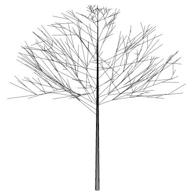 枯树树枝干枝树干摆件SU模型